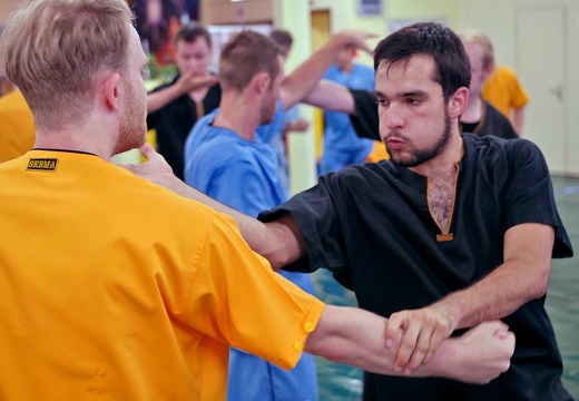 Prüfungen + Seminare